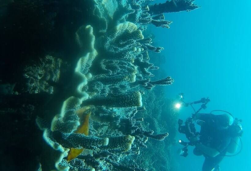 East Lombok Dive Hotel   Hostel