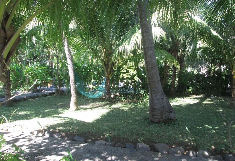 בית מלון כפרי Air Sanih Homestay