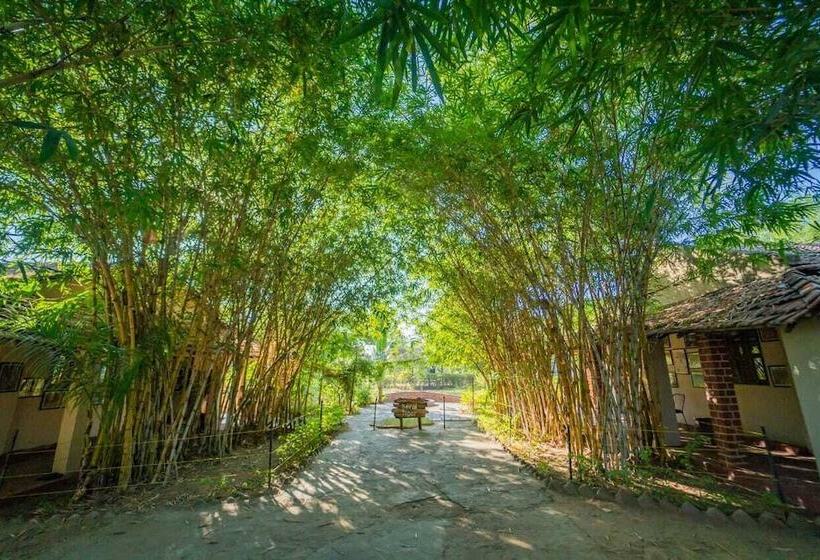 فندق Camp Serai Tiger Tadoba