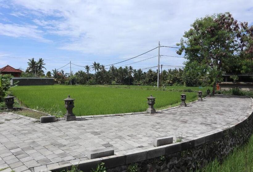 בית מלון כפרי Ubud Backpacker Hostel