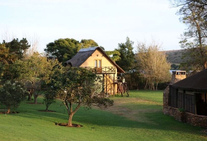 فندق Tides Lodge