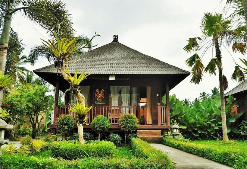 酒店 Dong Loka Guesthouse Bali