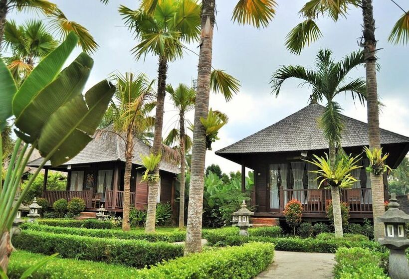 酒店 Dong Loka Guesthouse Bali