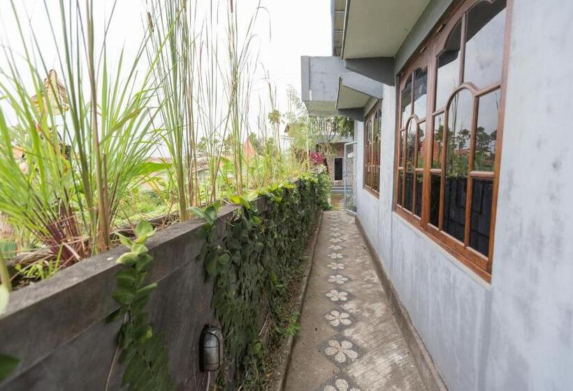 פנסיון Baliamandarlinghouse