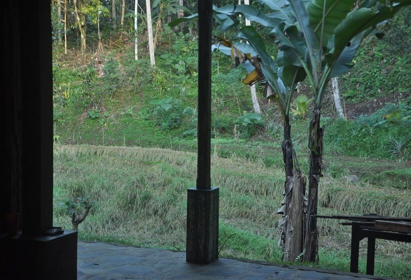 פנסיון Oemah Tepi Sawah