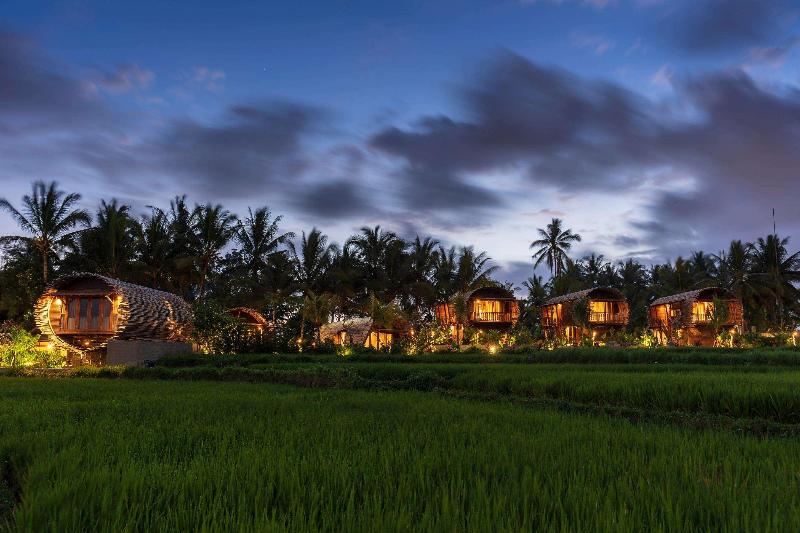 Bed and Breakfast Beehouse Dijiwa Ubud