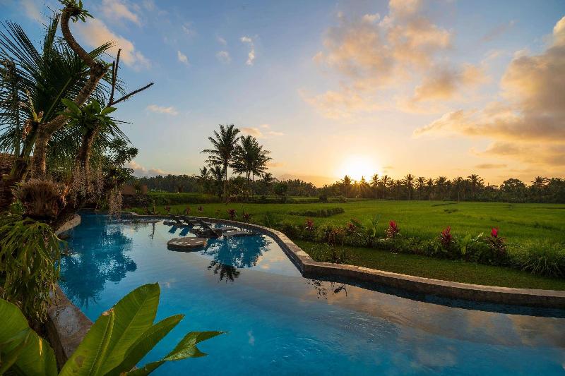 Bed and Breakfast Beehouse Dijiwa Ubud