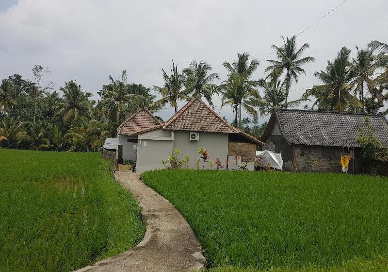 住宿加早餐  Buda Cottage Ubud