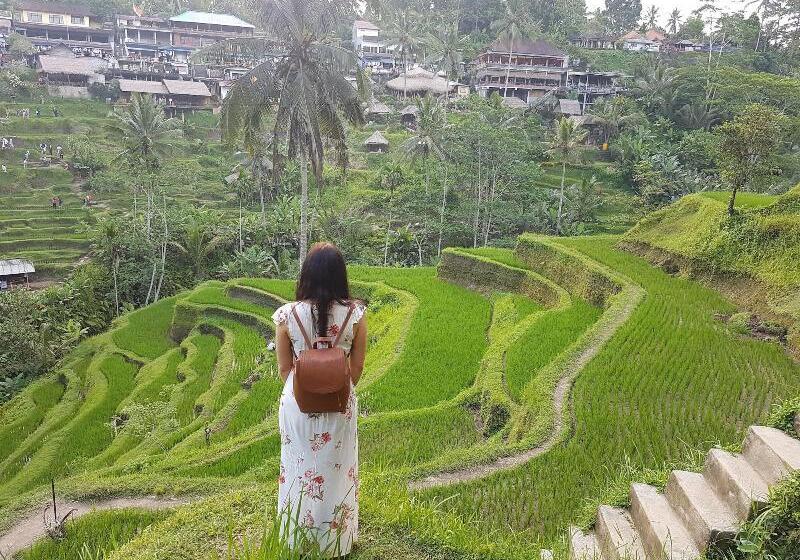 住宿加早餐  Buda Cottage Ubud
