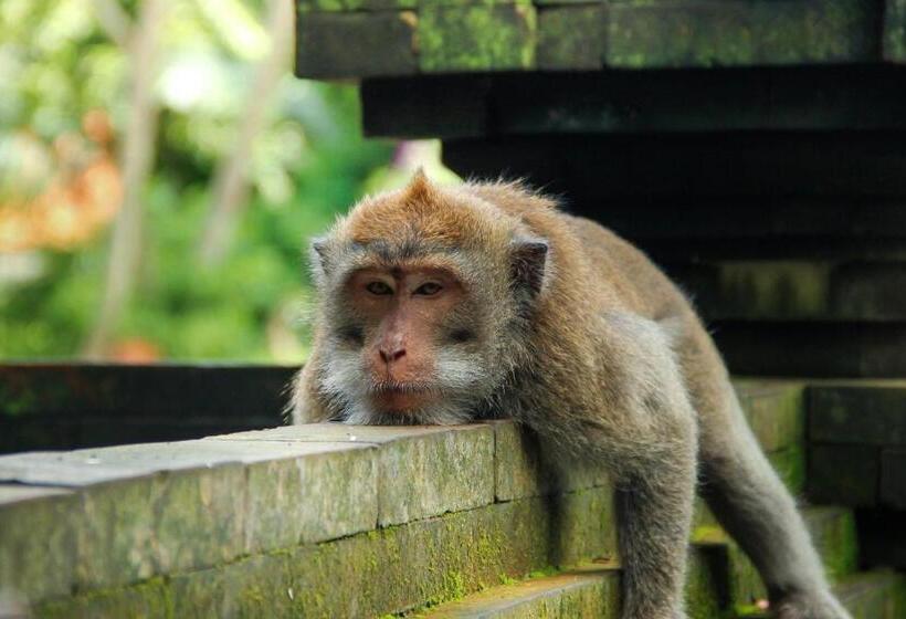 צימר Dedeane Ubud