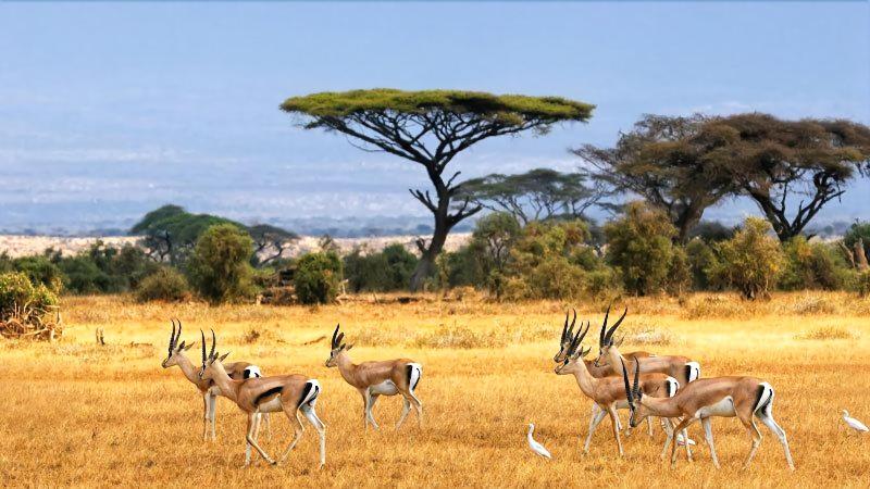 مبيت وإفطار Myhome Homestay