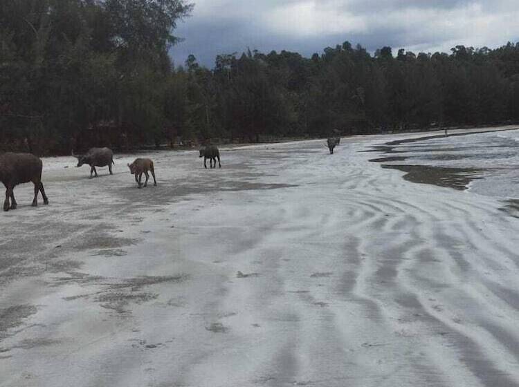 ベッドアンドブレックファースト Pondok Oma Surf Simeulue