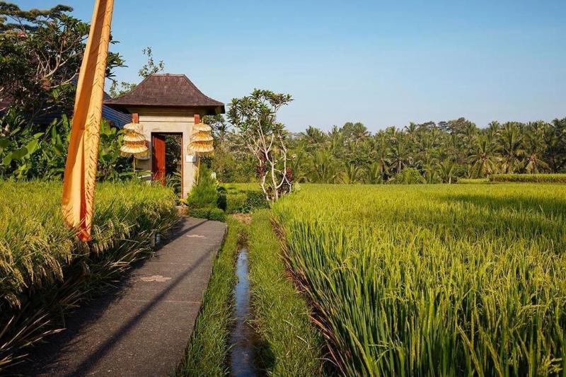 مبيت وإفطار Puri Raya Villa Ubud