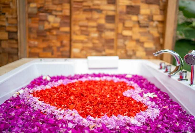 צימר Sunia Jungle