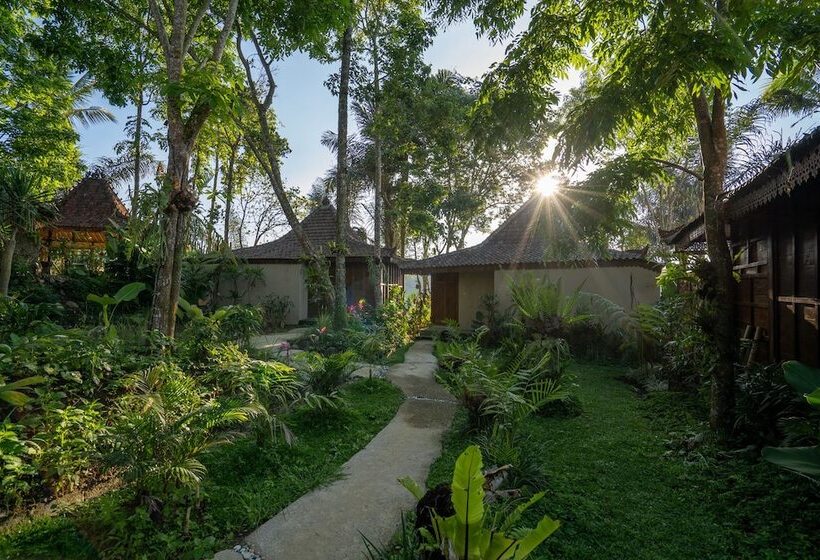 צימר Sunia Jungle