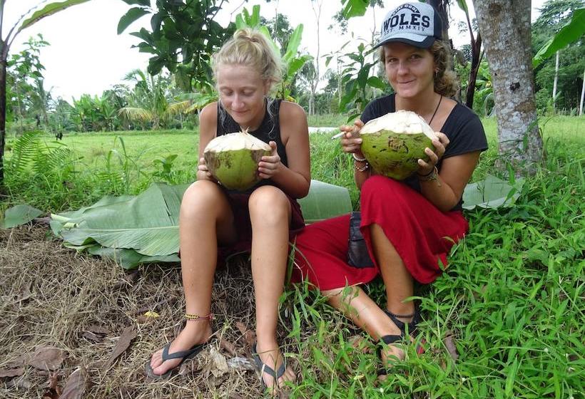 ベッドアンドブレックファースト Tetebatu Indah Homestay