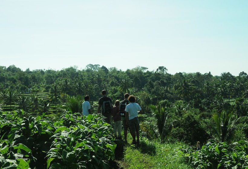 ベッドアンドブレックファースト Tetebatu Indah Homestay