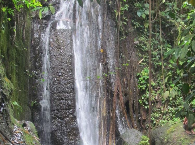 ベッドアンドブレックファースト Tetebatu Indah Homestay