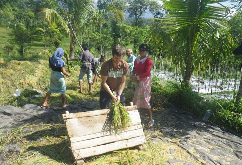 ベッドアンドブレックファースト Tetebatu Indah Homestay