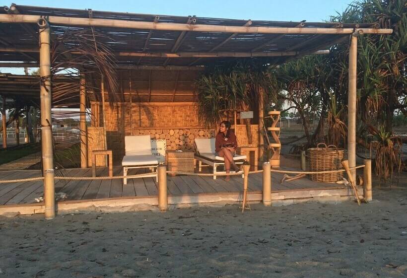 住宿加早餐  Wera Beach Resort