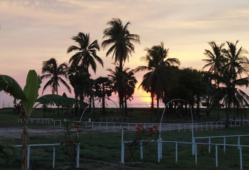 住宿加早餐  Wera Beach Resort