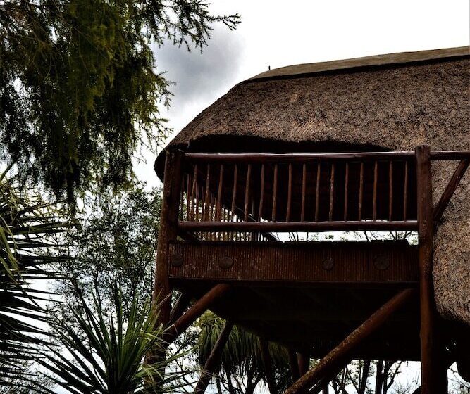 בית מלון כפרי Amaka Private Game Reserve And Safaris