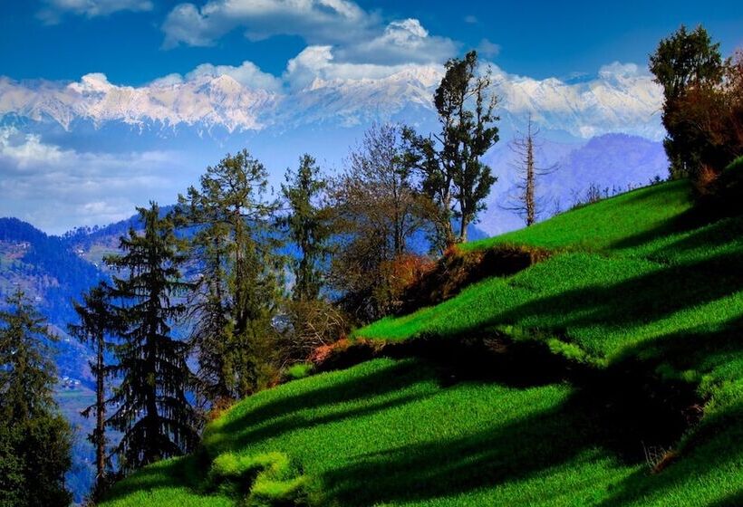 酒店 Banjara Retreat And Cottage Sojha