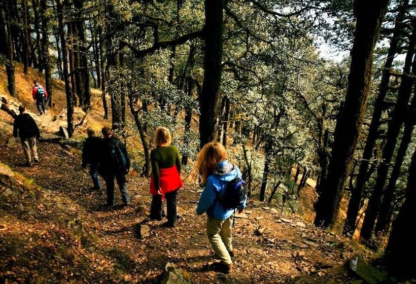 酒店 Banjara Retreat And Cottage Sojha