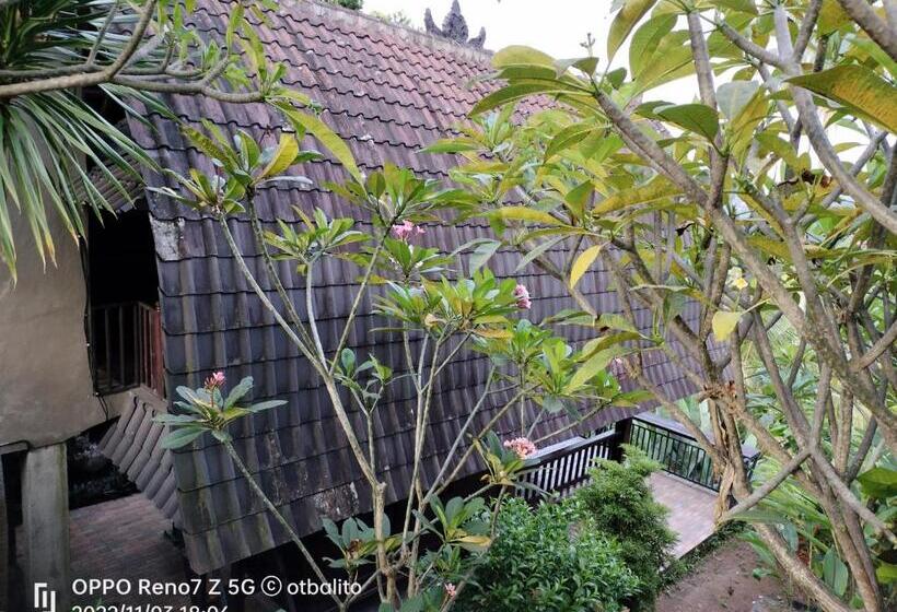 בית מלון כפרי D Kailash Retreat