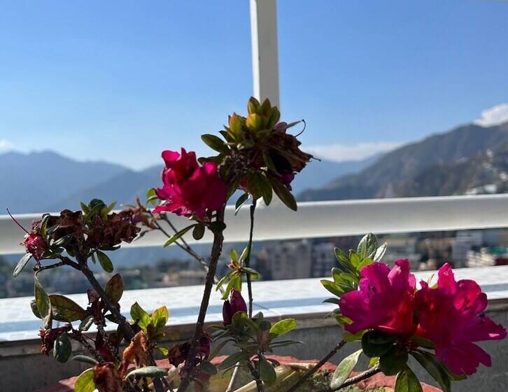 Отель Gautam Residency Chamba