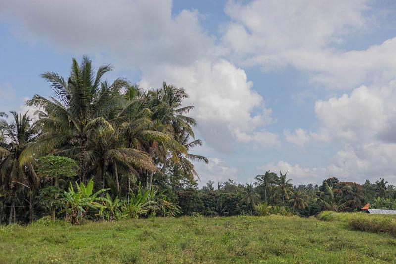בית מלון כפרי Green Sala Villa