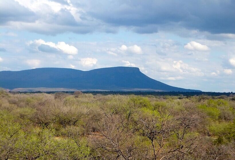 ホテル Iphofolo Lodge