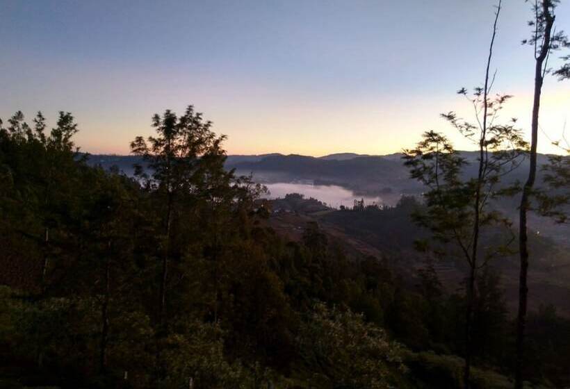 فندق Janardan Tea Resort   Campsite