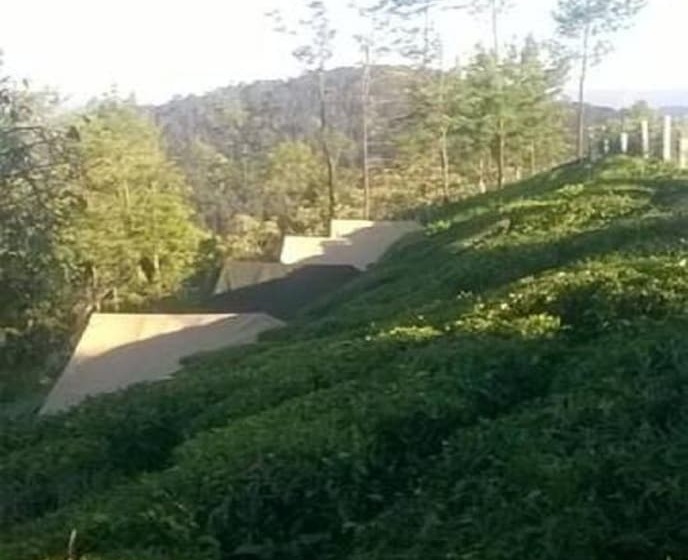호텔 Janardan Tea Resort   Campsite