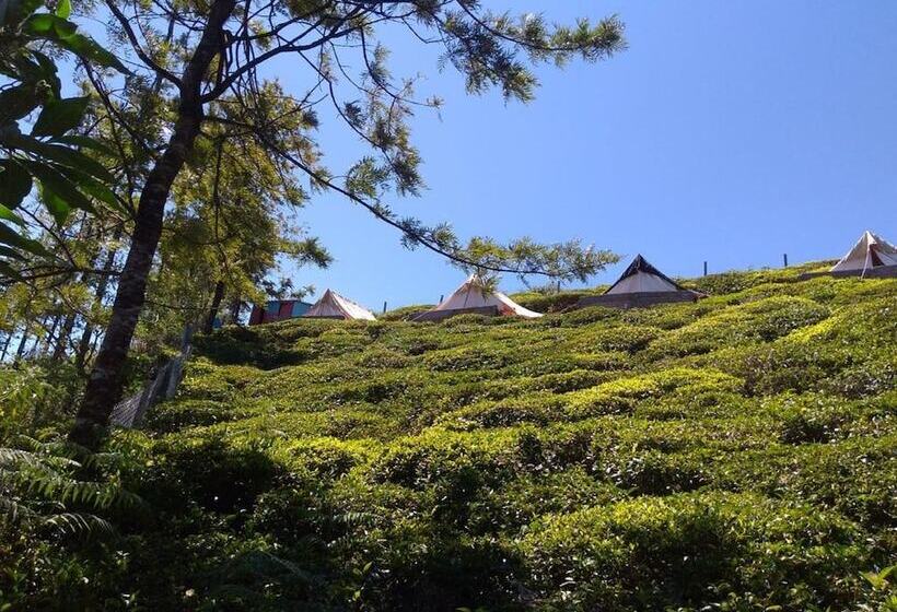 호텔 Janardan Tea Resort   Campsite