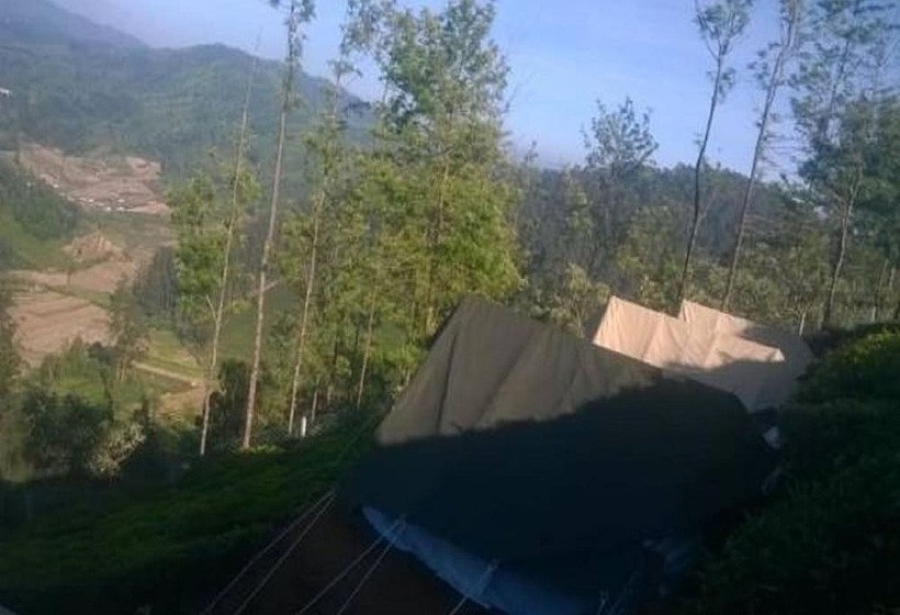 فندق Janardan Tea Resort   Campsite