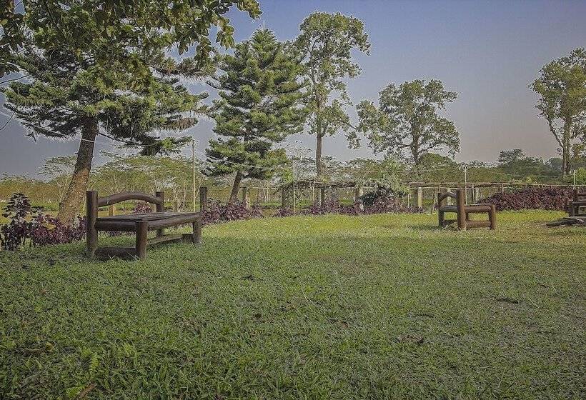 ホテル Resort Gorumara Nest By Oyo Rooms