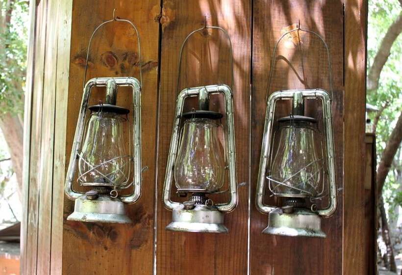 ホテル Sederkloof Lodge