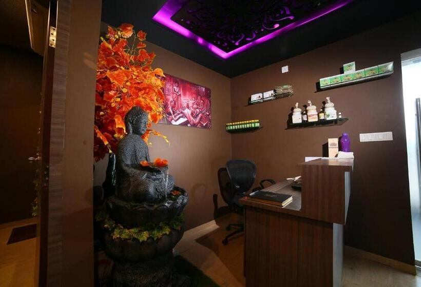 Отель Vivera Grande