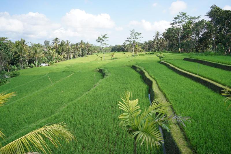 Kenran Resort Ubud by Soscomma