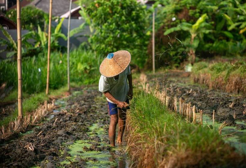 Pangkung Sari Bed And Breakfast