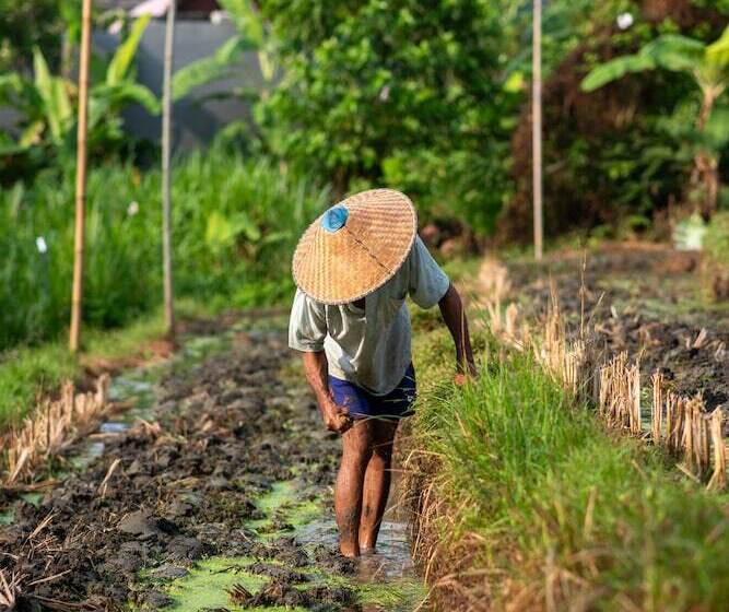 Pangkung Sari Bed And Breakfast