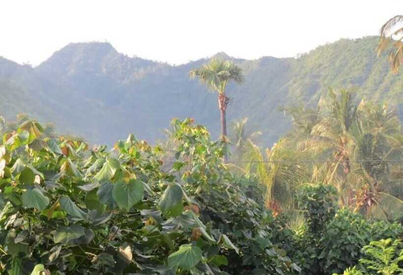 פנסיון Bali Sari Homestay
