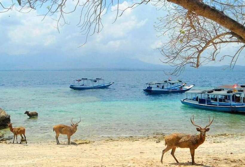 بنسيون Dewantara Boutique Villa Resort Bali