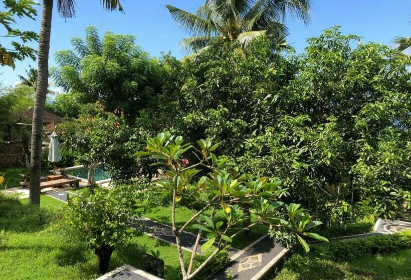 بنسيون Frangipani Inn & Restaurant