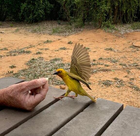 ペンション Happy Jackal