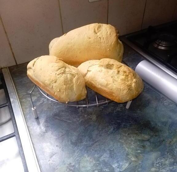 ペンション Happy Jackal