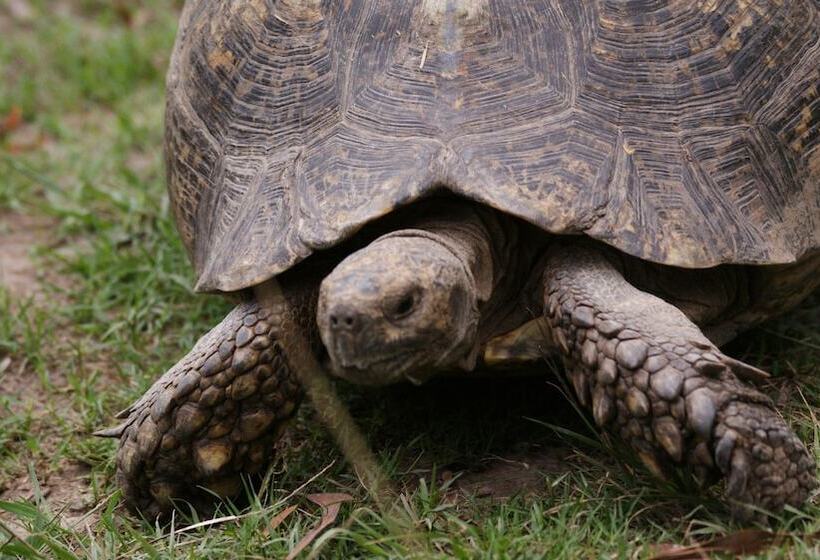 ペンション Happy Jackal