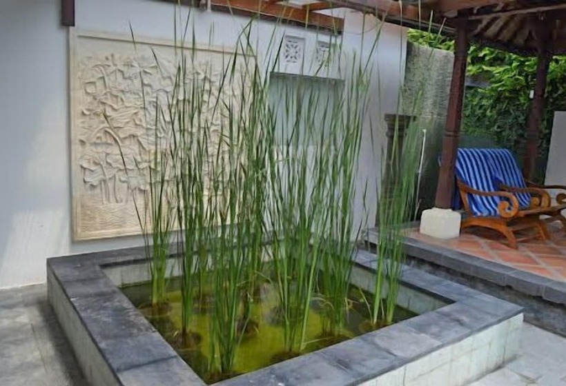 Пансион Kelapa Guest House