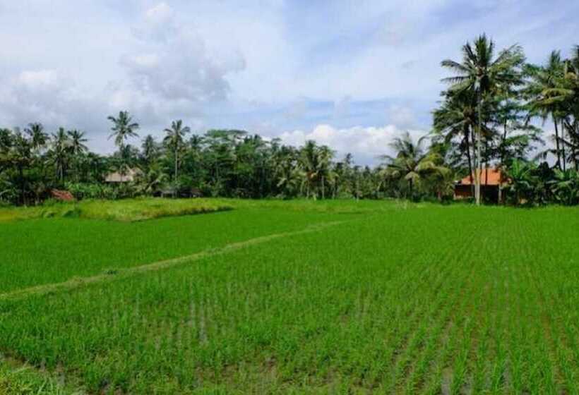 פנסיון Kubu Jamu Ubud